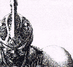 GUYVER's Avatar