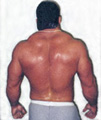bigwilly's Avatar