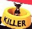 BULKING_N's Avatar